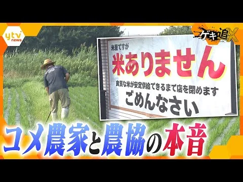 画像 なぜコメは消えた？なぜ価格は下がらない？