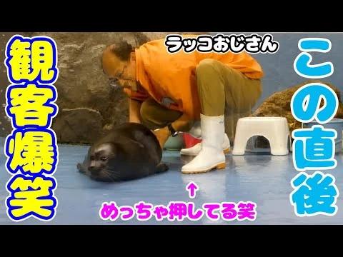 画像 有名飼育員さんは、ラッコじゃなくアザラシ相手でも面白い