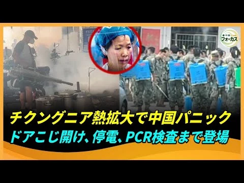 画像 チクングニア熱感染拡大