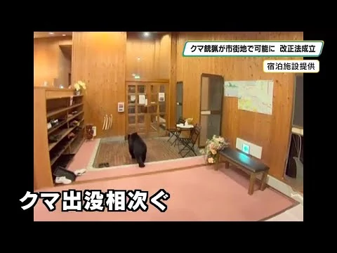 画像 クマ駆除、市街地で猟銃使用へ
