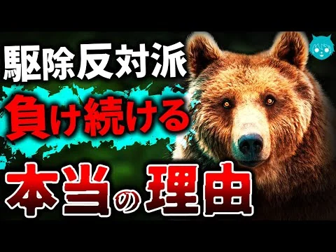 画像 クマ駆除反対、無視される理由