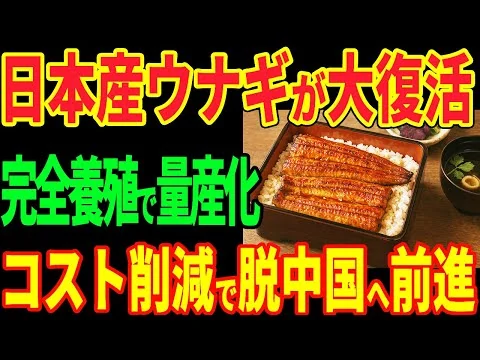 画像 日本産ウナギが大復活！完全養殖で量産化！コスト削減で脱中国へ前進！