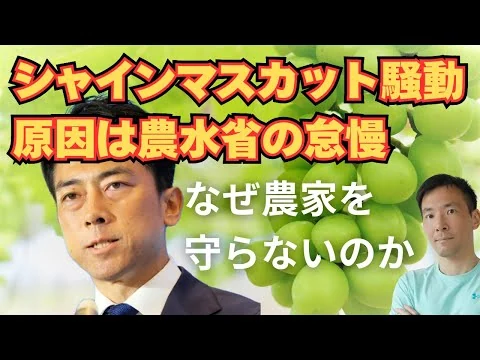 画像 山梨県激怒、シャインマスカットの海外ライセンス許諾