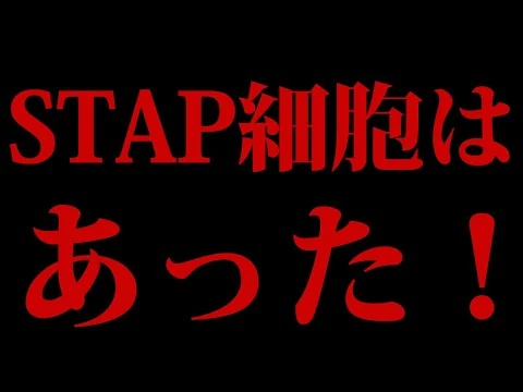 画像 STAP細胞はあった！