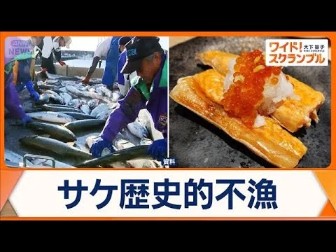 画像 サケ歴史的不漁　北海道は前年の4割　地球温暖化の影響か…対策も