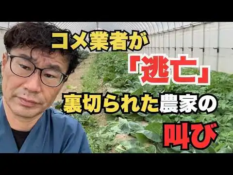 画像 米価格暴落で日本の農業が終わる