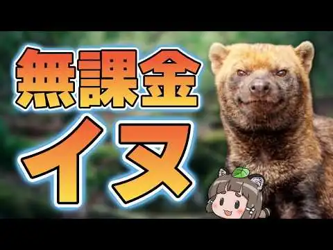 画像 最も原始的な犬　ヤブイヌ