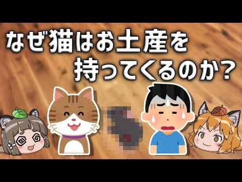 画像 【やめて】なぜネコは飼い主にお土産を持ってくるのか？