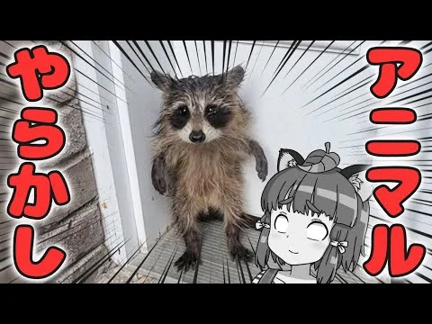 画像 【珍事件】どうしてこうなった？動物たちのありえないトラブル6選