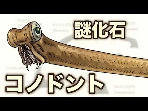 画像 謎化石コノドントの正体とは？　地球の歴史 その１４０