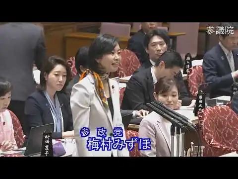 画像 2026.04.06　予算委員会・質疑　梅村みずほ