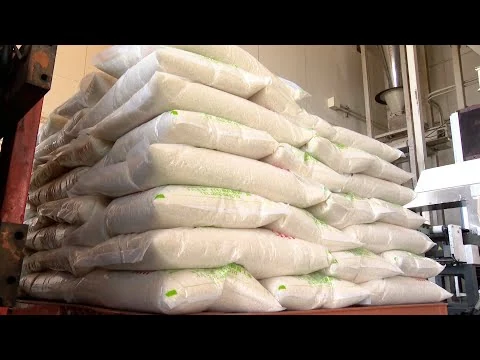 画像 「投げ売りしなきゃ追いつかない」令和のコメ騒動から2年、一転して「コメ余り」の局面へ　価格下落と中東情勢の影　揺れる米どころの現在地