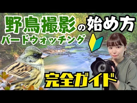 画像 【入門編】野鳥撮影・バードウォッチングの始め方　完全ガイド　～初心者の方にも分かりやすく解説～