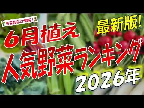 画像 6月植え人気野菜ランキングBest15（2026年版）